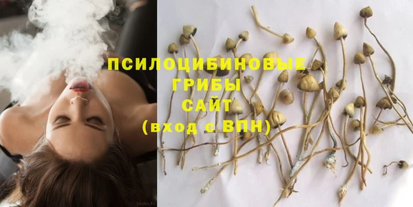 МДПВ Пестово