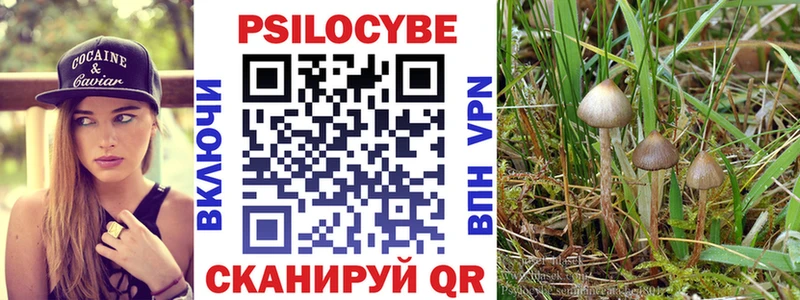 Галлюциногенные грибы Magic Shrooms shop формула Куртамыш